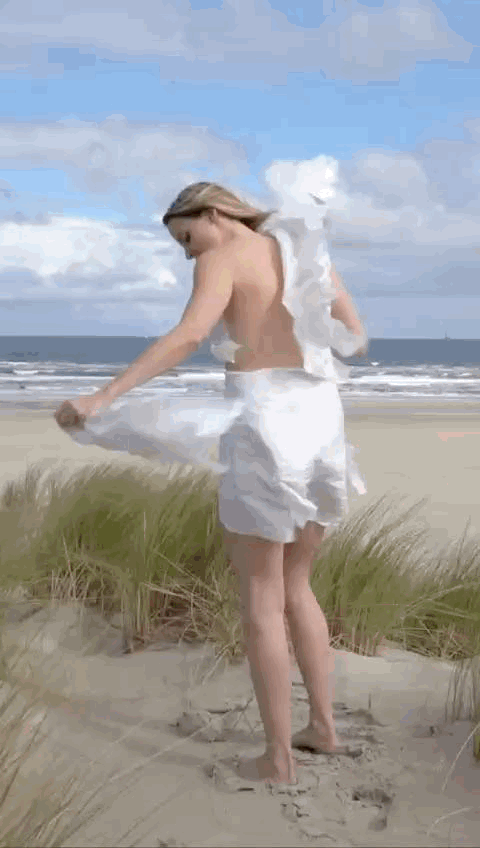 beeldmakers gif